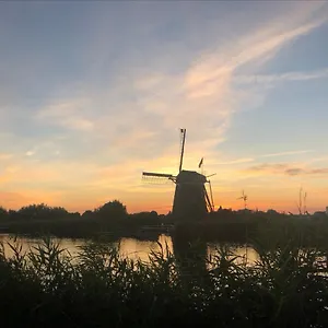 Aan De Rotte Nederland